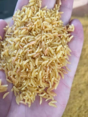 riz artificiel de 201 304 solides solubles faisant l'usine enrichie 150kg/H de machines de riz